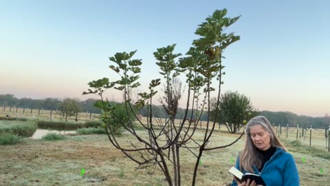 Morning Prayer, Daily Office