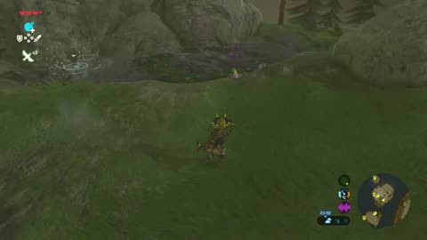Botw: Friendly fire