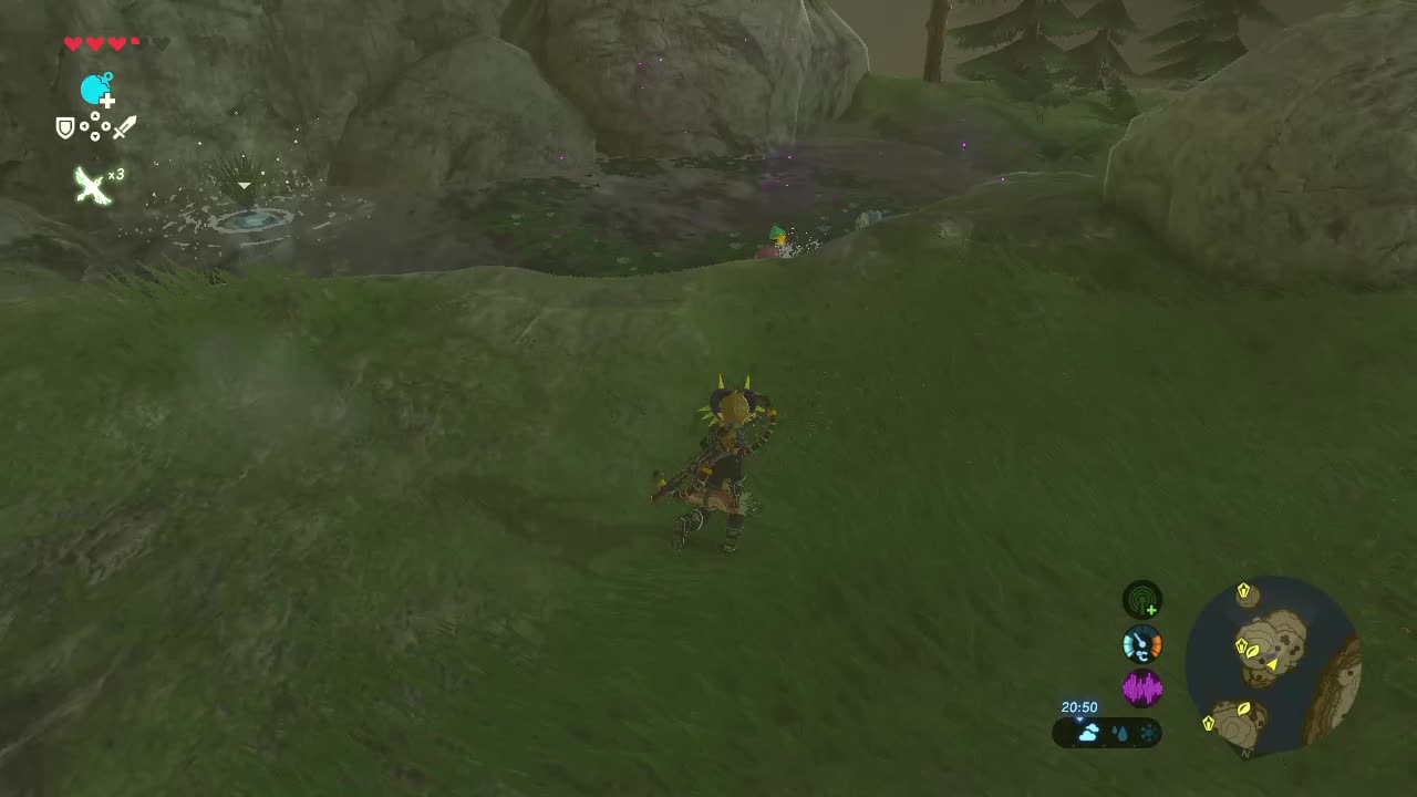 Botw: Friendly fire
