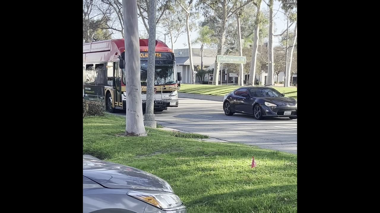 Buses in Lakewood.