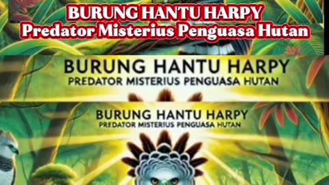 FUNNY & CUTE ANIMALS BIRD