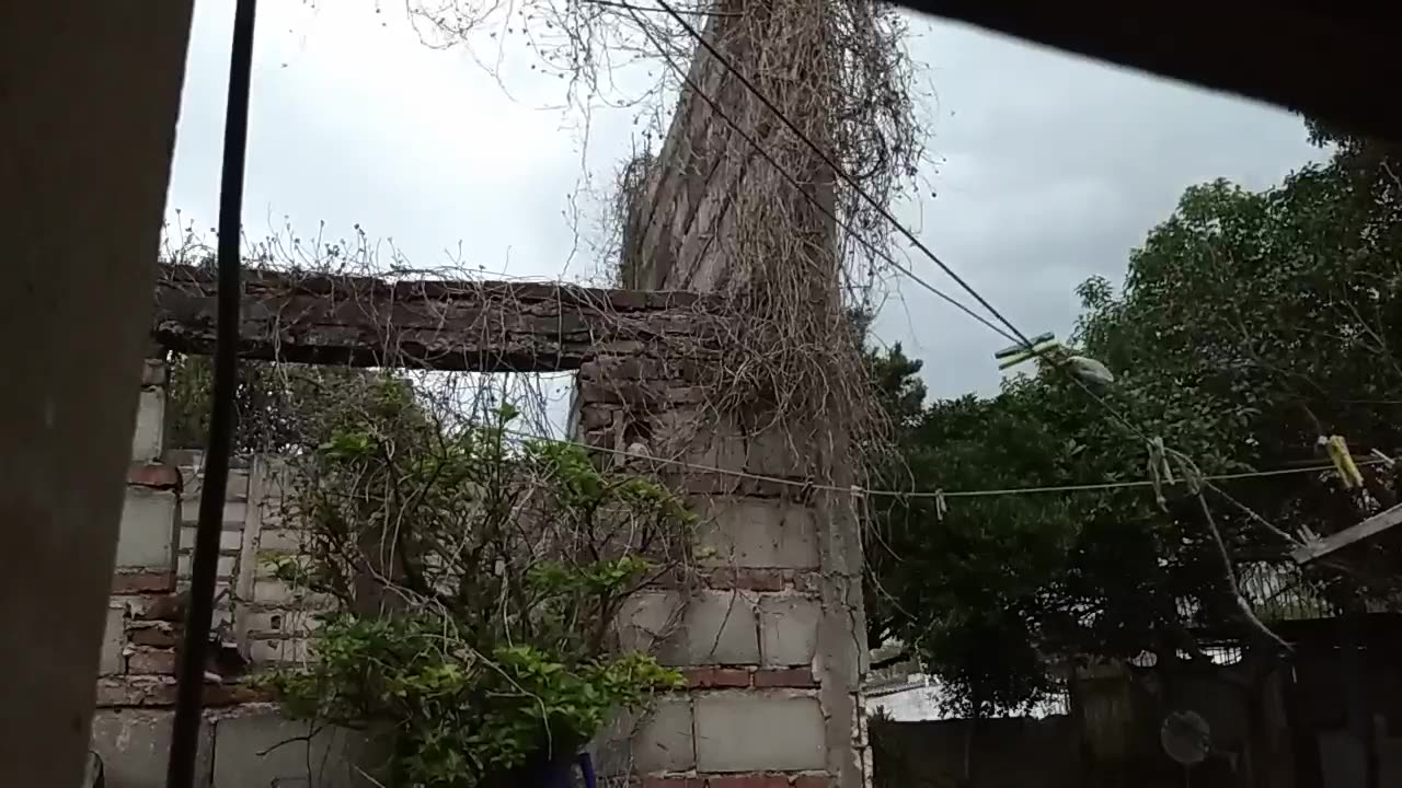 La lluvia en Tacuarembó - Desde el comienzo 19/09/2025