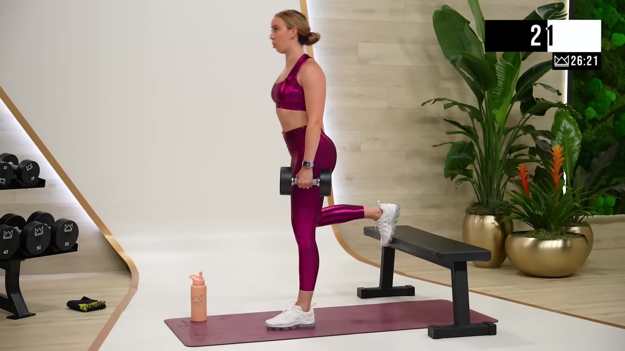 Full Body Workout