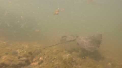 More and more and more water