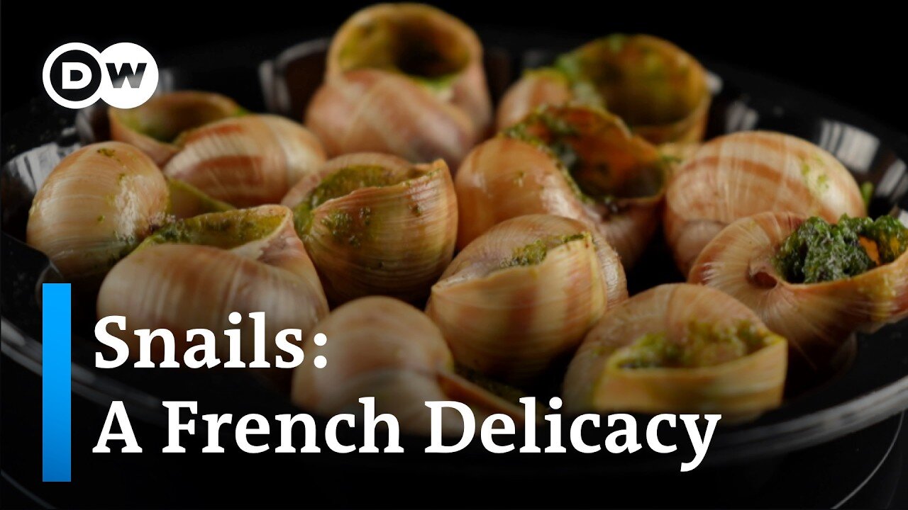 Escargot_ Why snails are a popular specialty in France