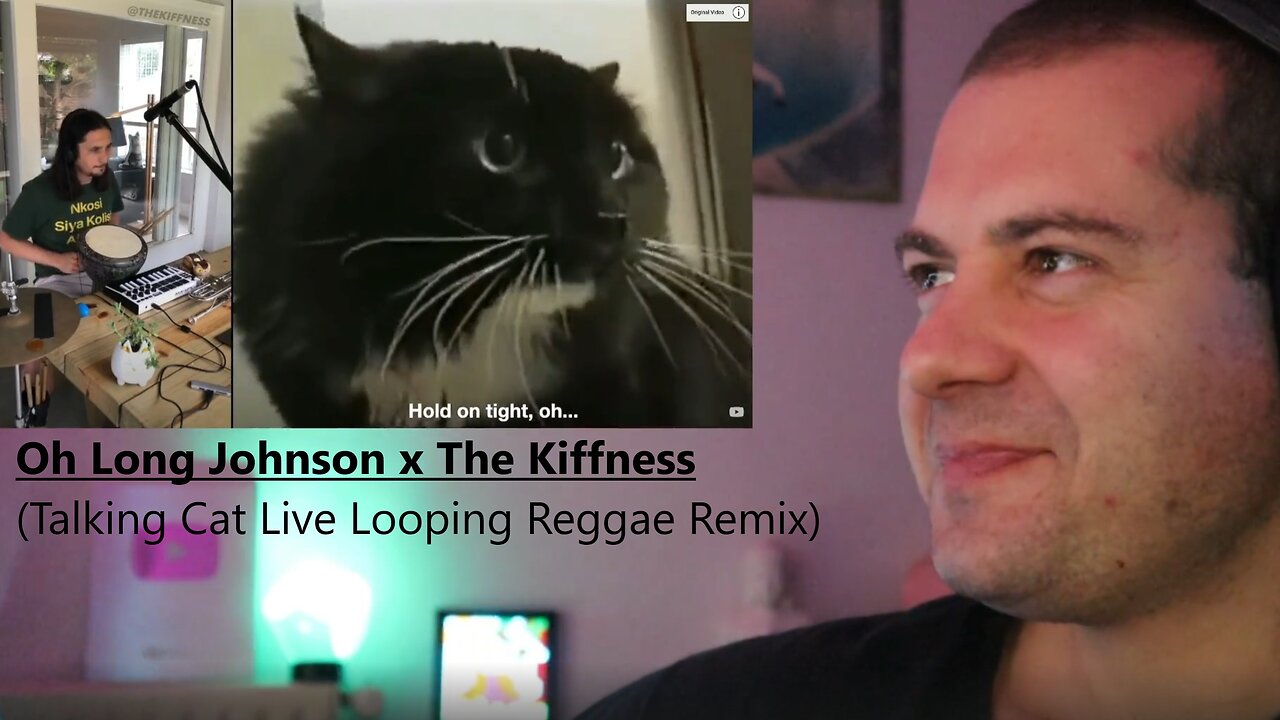 Oh Long Johnson x The Kiffness (Talking Cat Live Looping Reggae Remix)