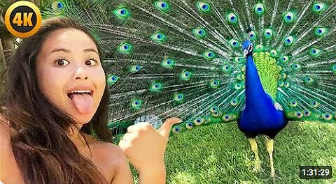 FUNNIEST Pets of 2025...So Far 😂 | BEST Animal Videos