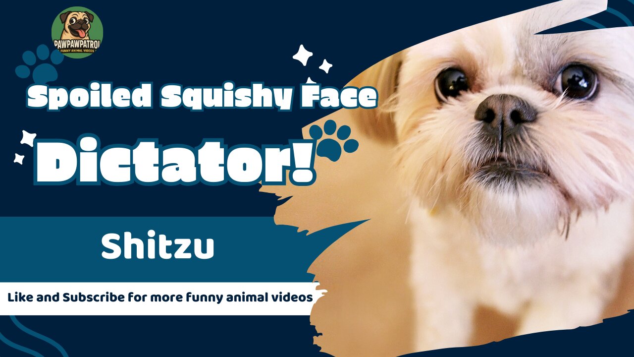 Spoiled Squishy faced Dictator