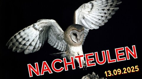 Nachteulen - 13.09.2025