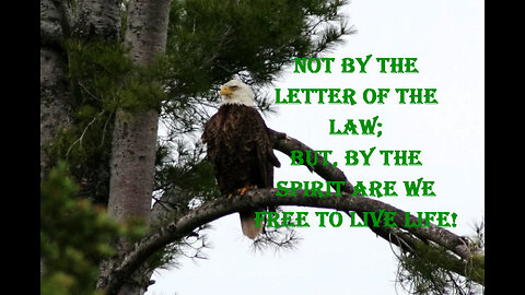 The Spirit Of The Law Is Love