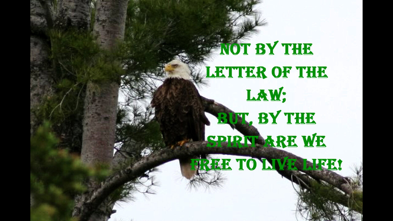 The Spirit Of The Law Is Love