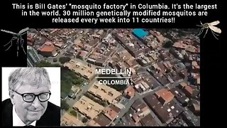 BiII Gates' genetically modified 'mosquito factory' - Releases 30mill/week into 11 Countries 💉☠️💉