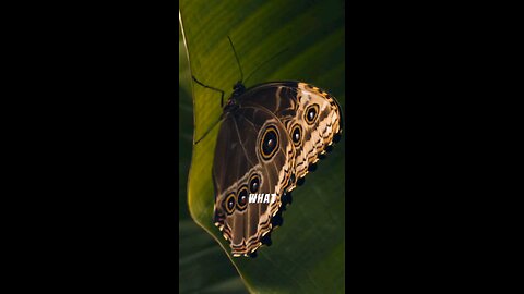 Transform Your Fear into Motivation
