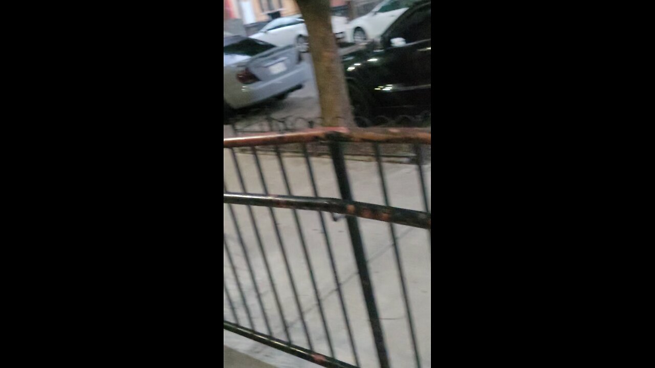 The NY Predators Dept officers engaging in stalking, illegal surveillance, illegal micro-chipping
