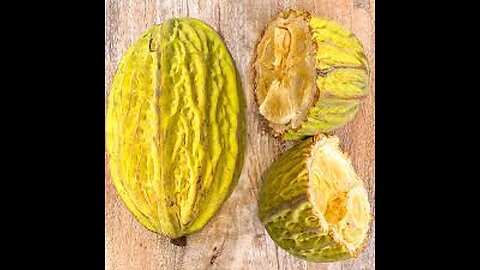 Tropical fruit Mocambo / White Cacao
