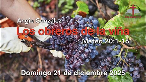 Los obreros de la viña