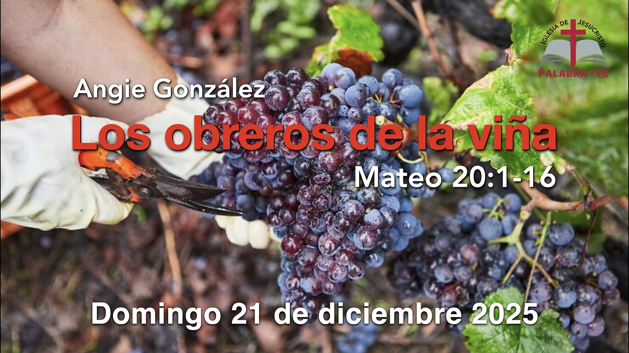 Los obreros de la viña