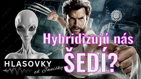 NOSITELIA SVETLA💫: Hybridizujú nás ŠEDÍ? - Hlasovky od Janičky