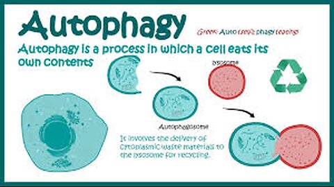 RID SPIKE PROTEIN By Autophagy (Intermittent/Fasting) & Nattokinase (Enzyme) (Pray Constantly)