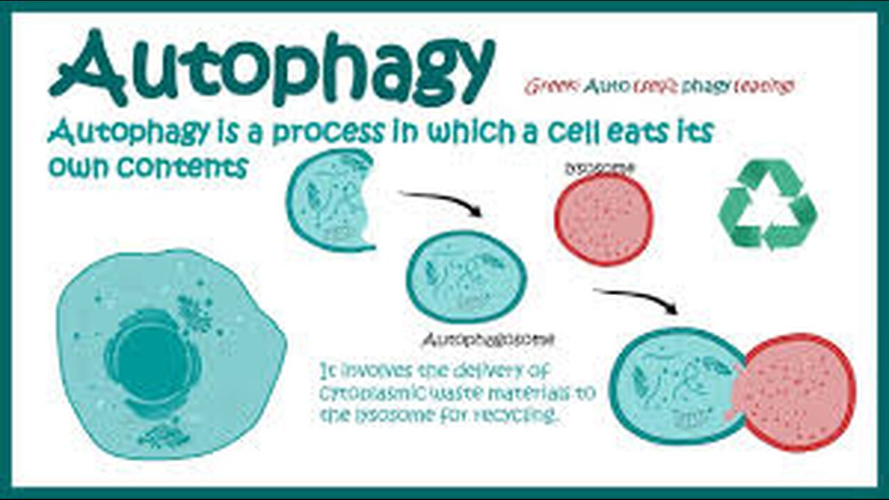 RID SPIKE PROTEIN By Autophagy (Intermittent/Fasting) & Nattokinase (Enzyme) (Pray Constantly)