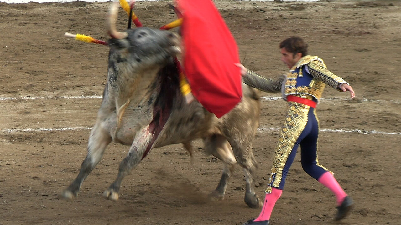 2025 07 13 CÉRET CORRIDA DE TOROS SOBRAL
