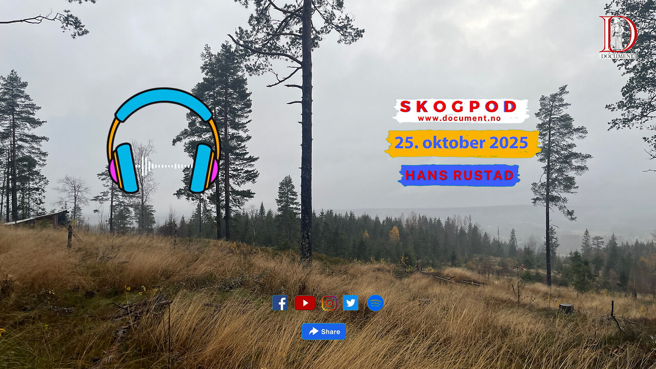 Skogpod 25. oktober 2025