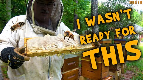 A Long Day Adding Supers. | The honey flow is ramping up.