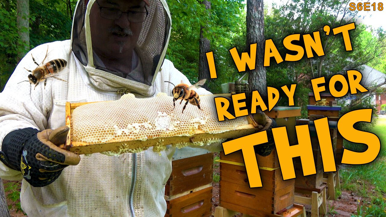 A Long Day Adding Supers. | The honey flow is ramping up.