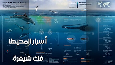 Ocean's Secret Language? Scientists Decode Marine Sounds!