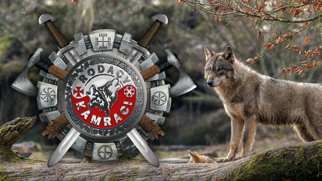 Retransmisja żywca bez żywca. 07.06.2025 W.Olszański M.Osadowski NPTV.pl