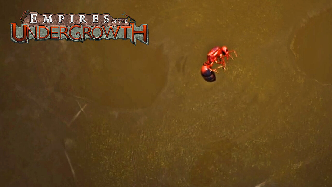 Our Queen Got Flooded! Empires Of The Undergrowth Part 10