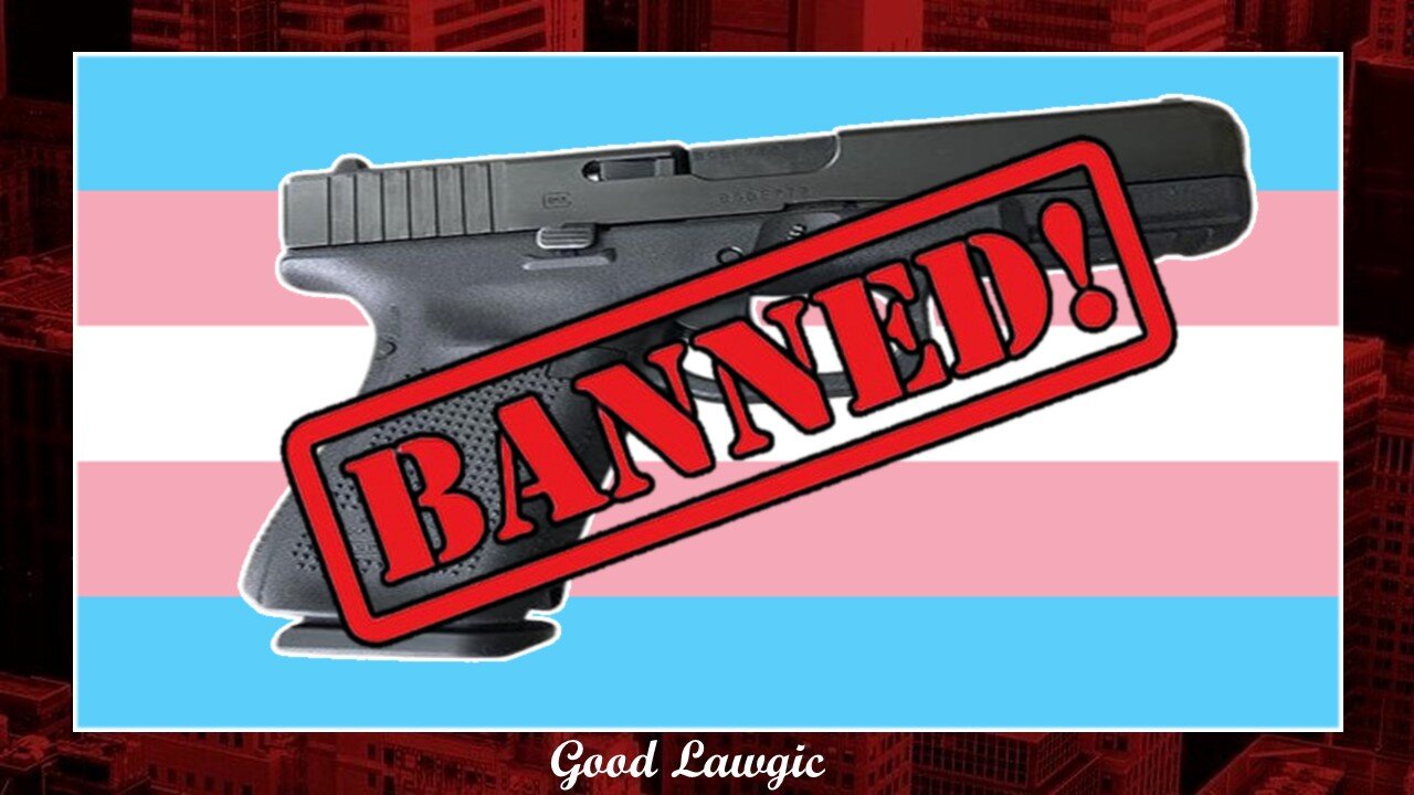 The Following Program: Why This Trans Gun Ban Debate Is Pure Genius; RFK Jr. Explodes at the Senate!