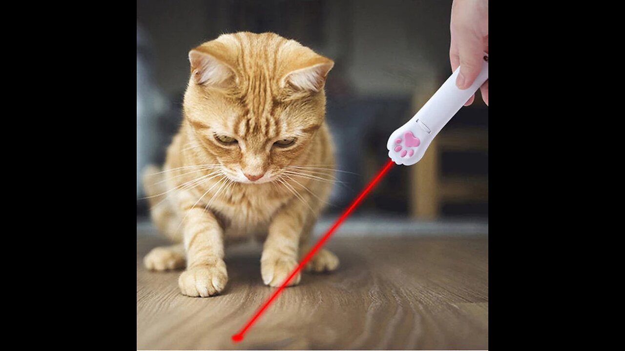 Interactive Pet Cat LED Projection Pen, with Different Patterns, for Cat, Dog & More