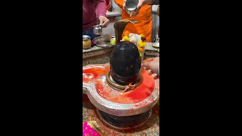 shivratri 2025 mahakal rudrabhishek