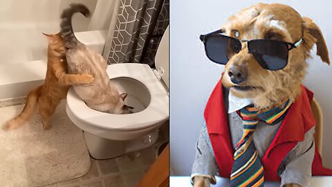 2025’s Funniest Dogs & Cats 😂 You Won’t Stop Laughing! | You Laugh You lose 😍😸😹 #Ep69