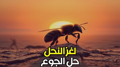 رقصة النحل تحل أزمة الغذاء العالمية!