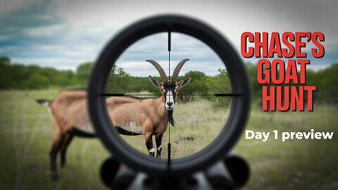 The Hunt Begins: Day 1 Preview!