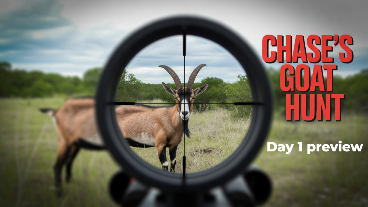 The Hunt Begins: Day 1 Preview!