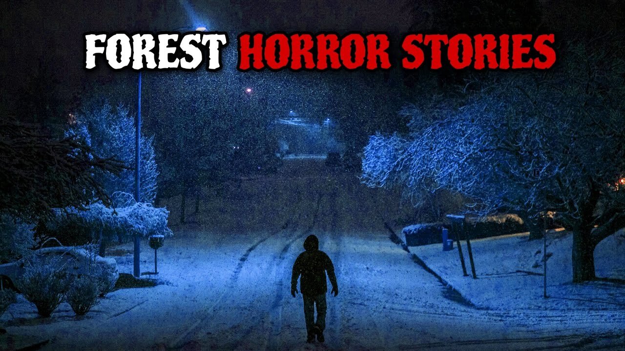 3 TRUE Disturbing Forest Horror Stories