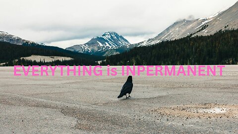 EVERYTHING is INPERMANENT ~ JARED RAND’s GLOBAL MEDITATION CALL 04-30-2025