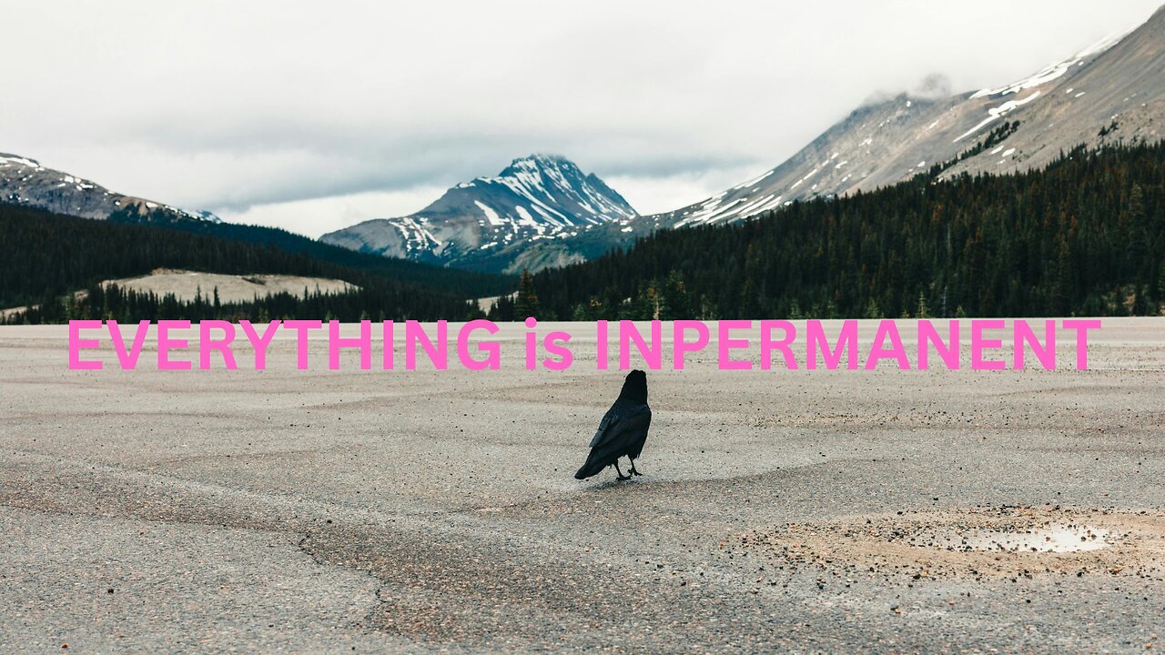 EVERYTHING is INPERMANENT ~ JARED RAND’s GLOBAL MEDITATION CALL 04-30-2025