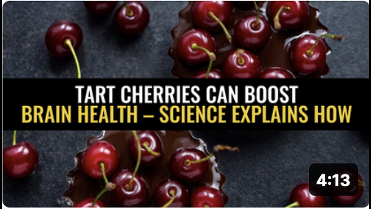 "Science Unveils How Tart Cherries Enhance Brain Health"