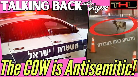 TALKING BACK with Jayme "CheeseSlice" | a Cow RAMS Israeli policeman while fleeing Fire in Jerusalem