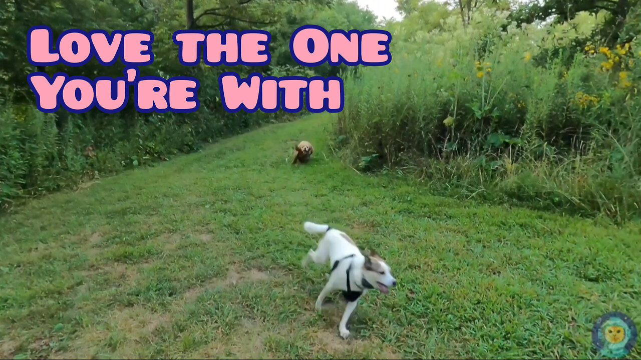 Love the One You're With