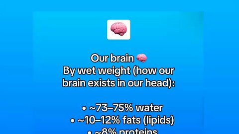 Saturated fats are a vital part of our brain 🧠