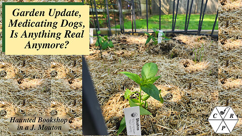 Garden Update, Medicating Dogs, Is Anything Real Anymore?