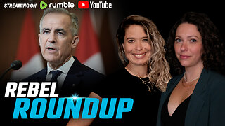 Google pays Cdn media, Ford rips 'broken' bail system, Liz May wants to be Speaker | Rebel Roundup