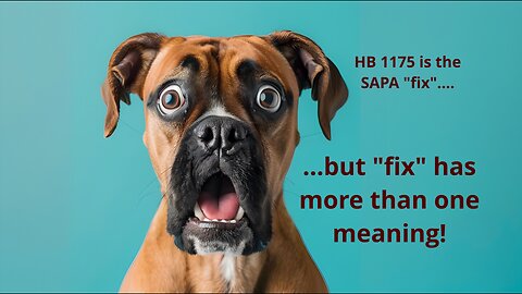 HB 1175 (2025) Harms the Second Amendment Preservation Act