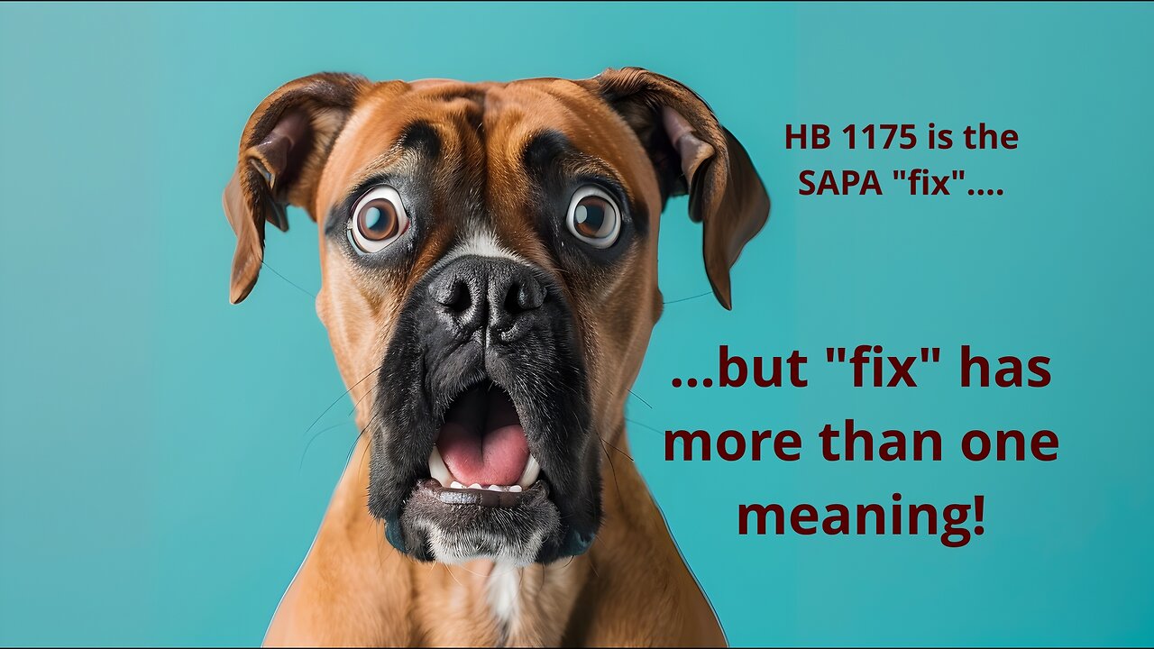 HB 1175 (2025) Harms the Second Amendment Preservation Act