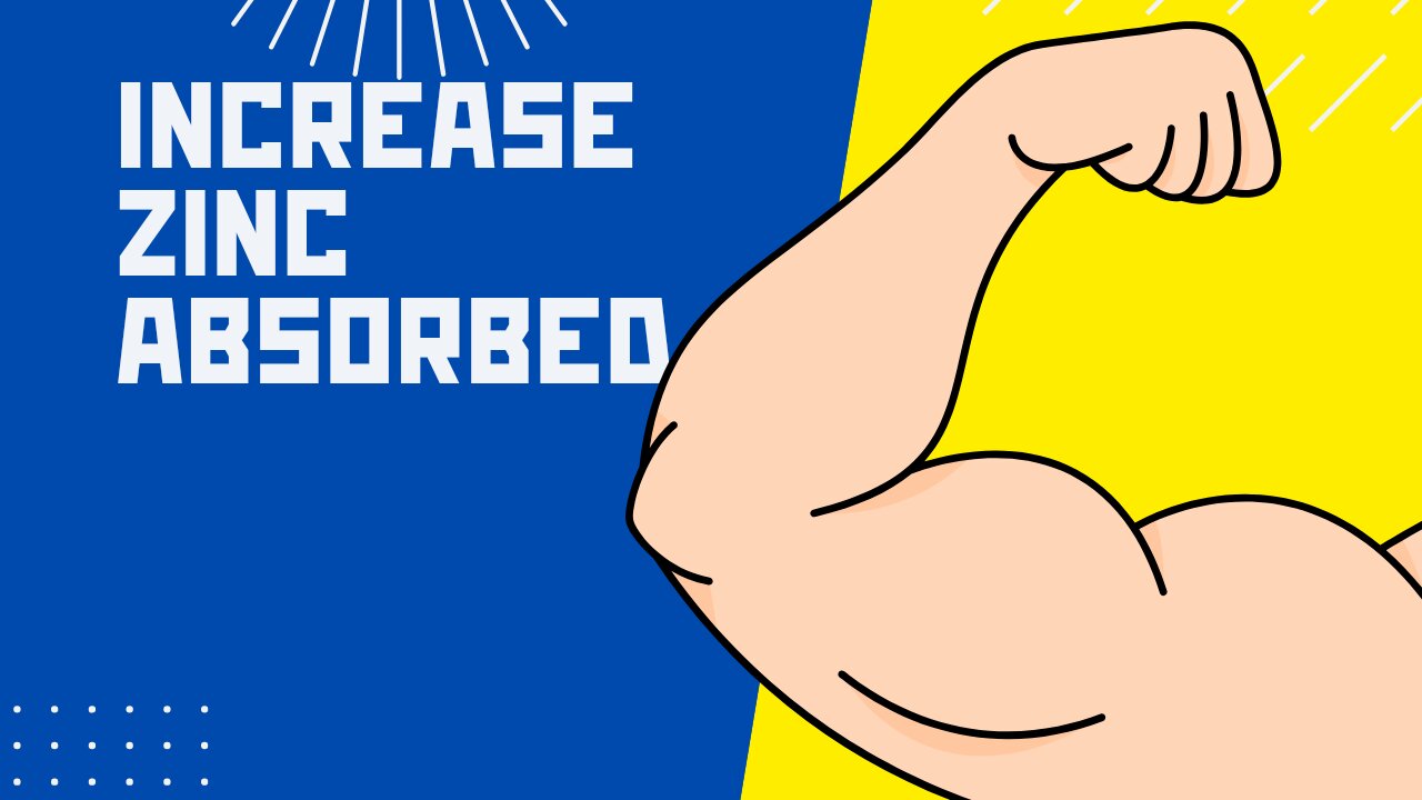 how to INCREASE ZINC Absorption